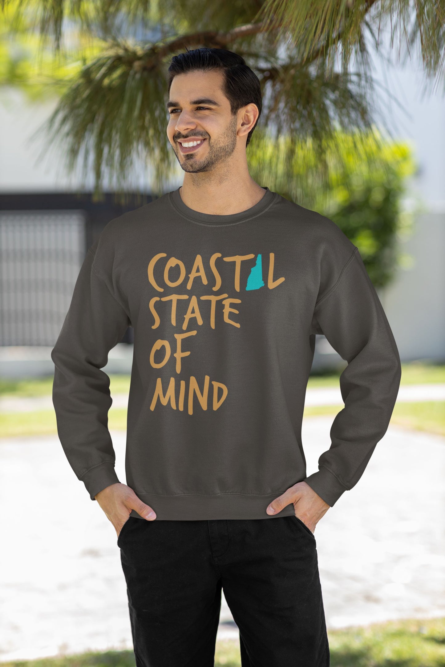 Coastal State of Mind New Hampshire Driftwood Unisex Sweatshirt