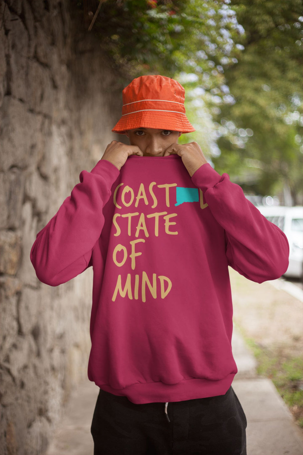 Coastal State of Mind Connecticut Driftwood Unisex Sweatshirt