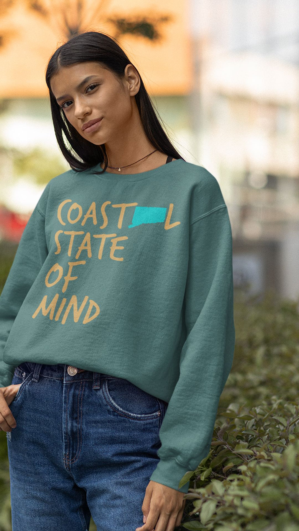 Coastal State of Mind Connecticut Driftwood Unisex Sweatshirt