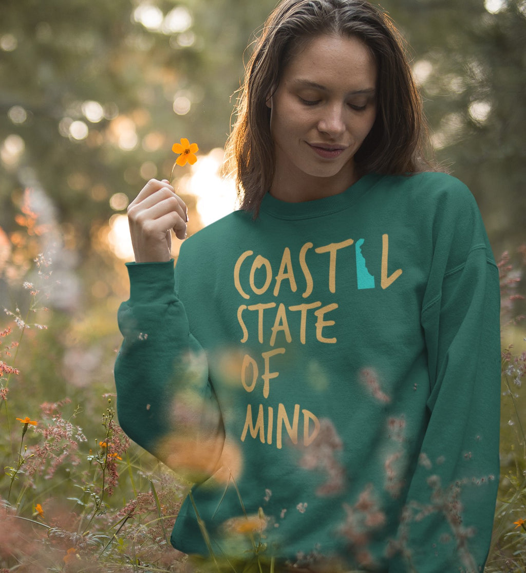 Coastal State of Mind Delaware Driftwood Unisex Sweatshirt