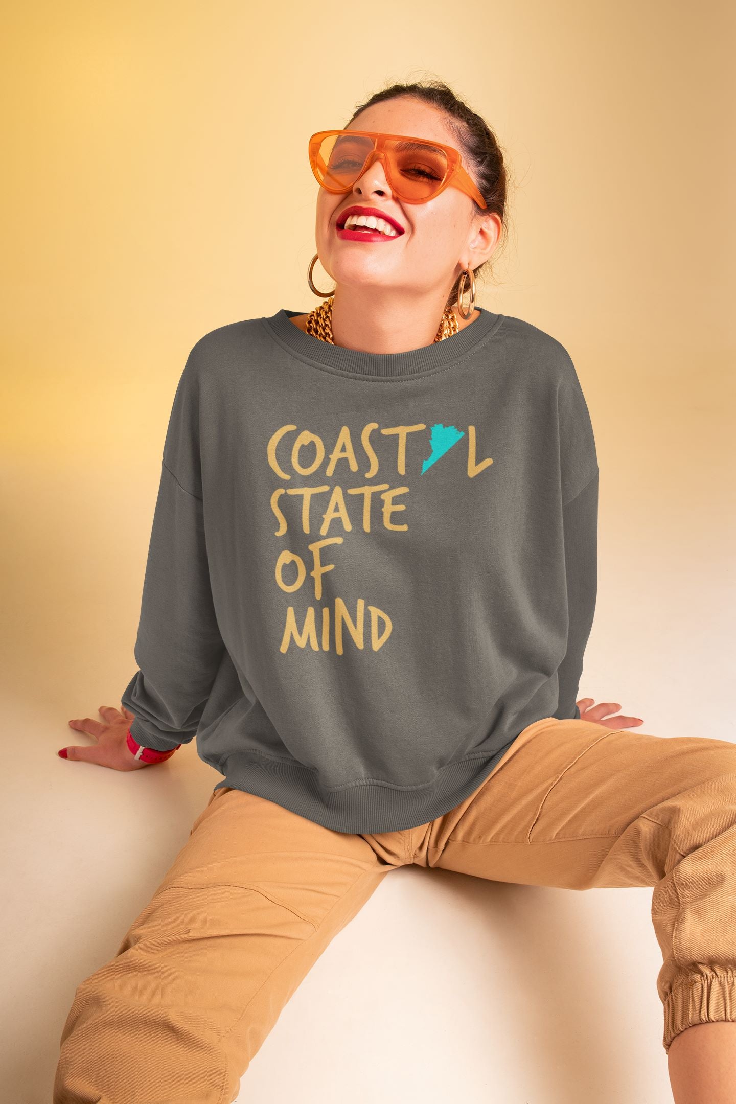 Coastal State of Mind Virginia Driftwood Unisex Sweatshirt