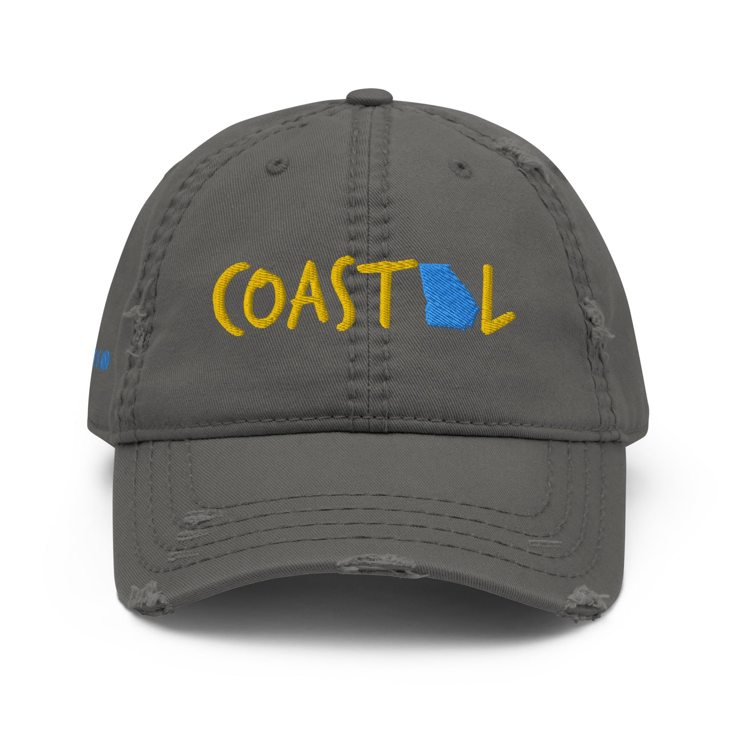 Coastal Georgia™ Distressed Dad Hat
