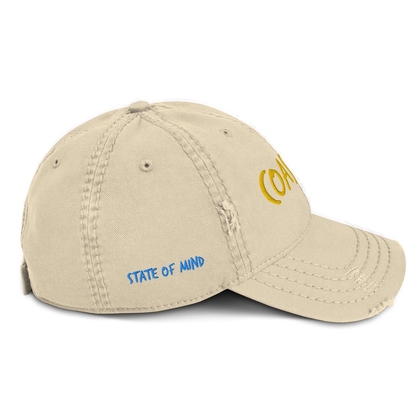 Coastal Delaware™ Distressed Dad Hat