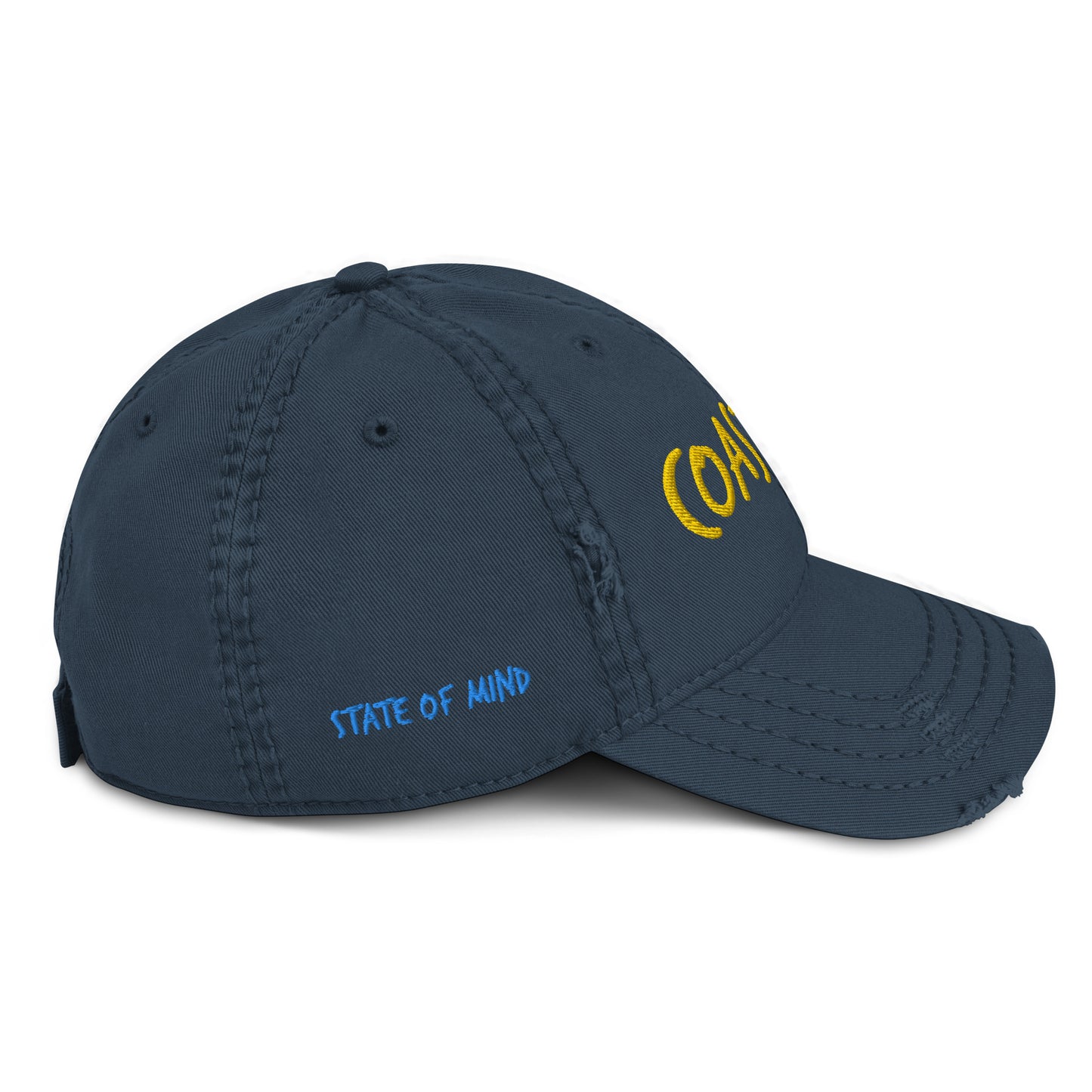 Coastal Virginia™ Distressed Dad Hat